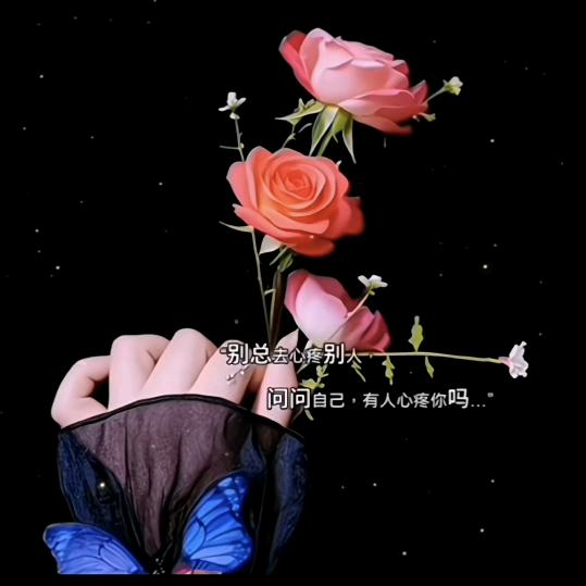 ᰔᩚ᭄🥀余生ℛ随心꧔ꦿᩚ࿐