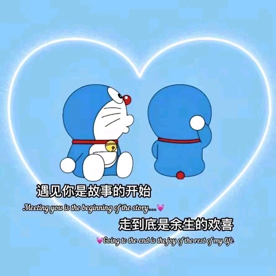温暖的小太阳🌻