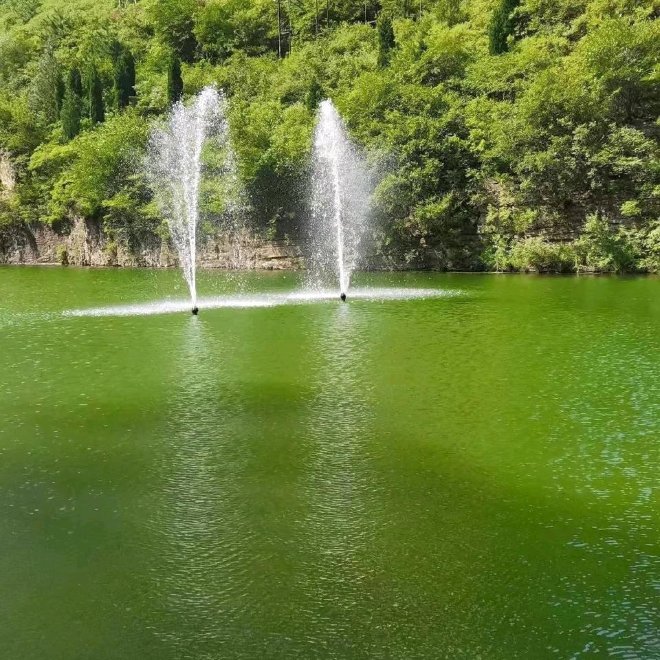 掌柒妹