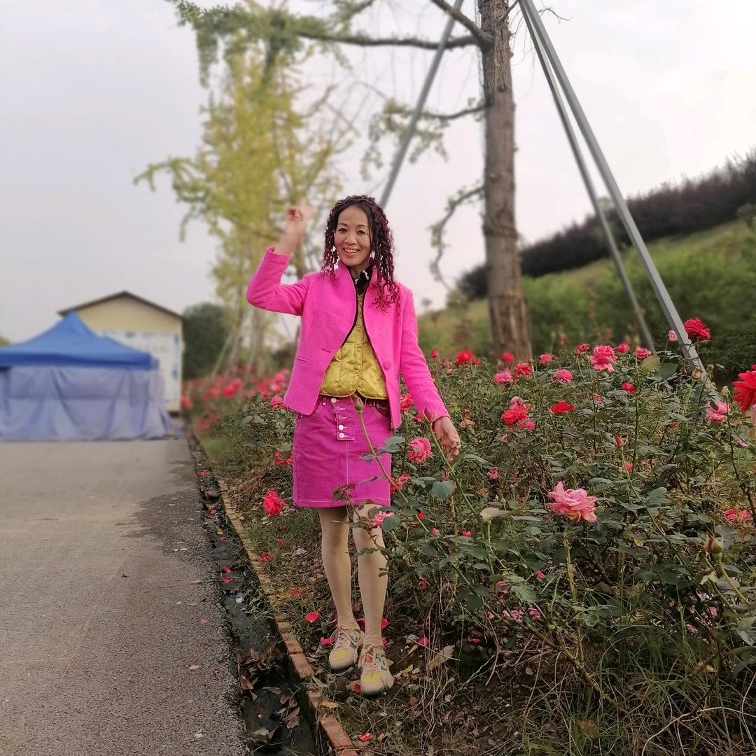 七彩🌈玫瑰🌹流行音乐🎵人