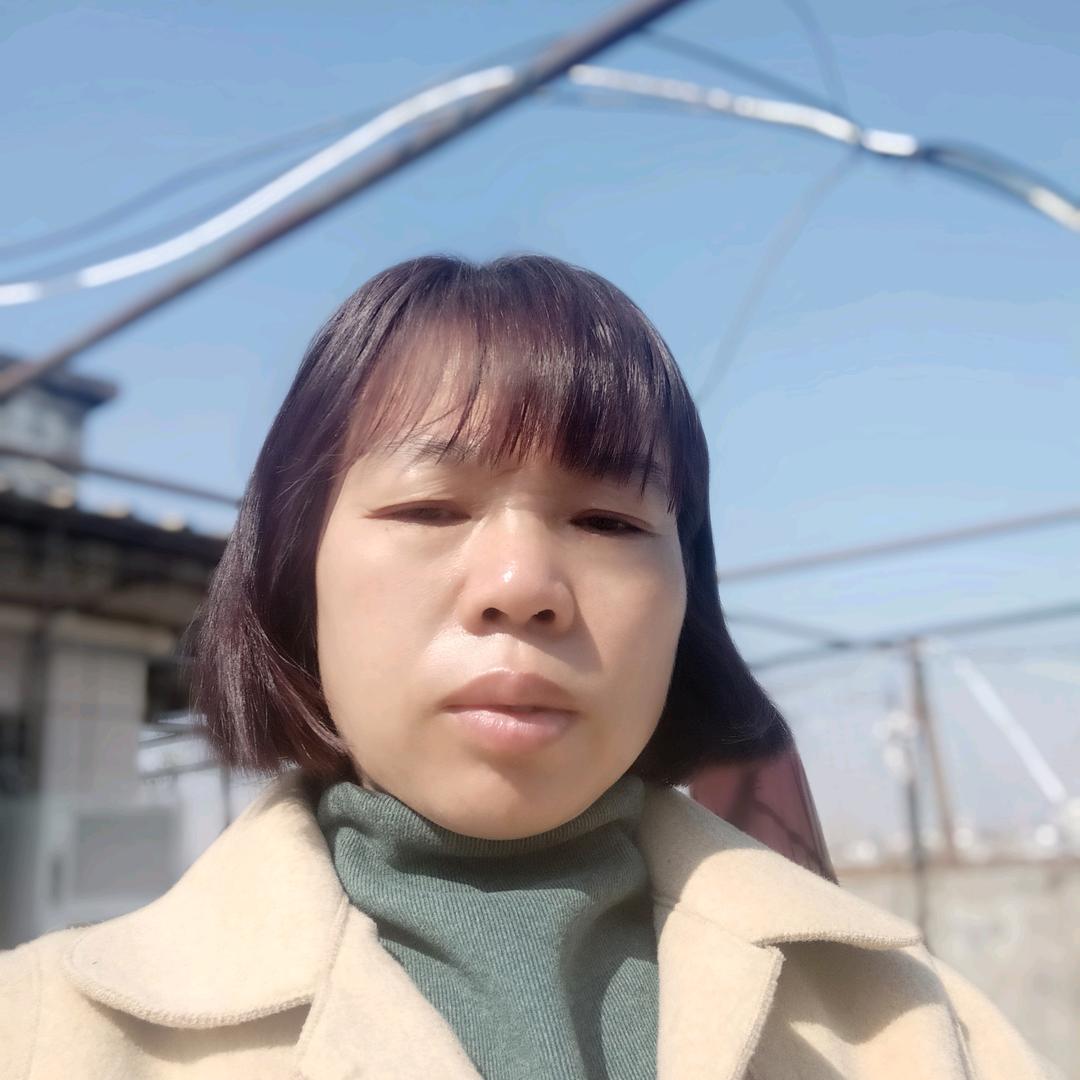 凤霞子