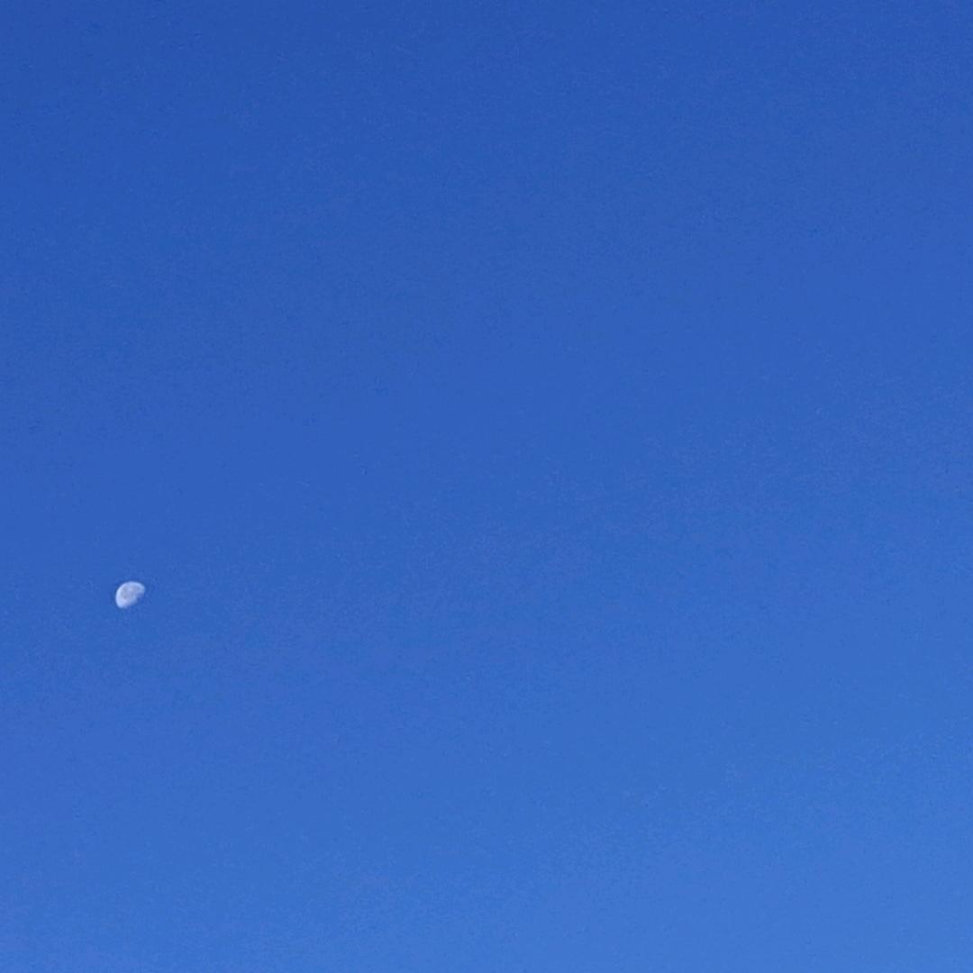 木