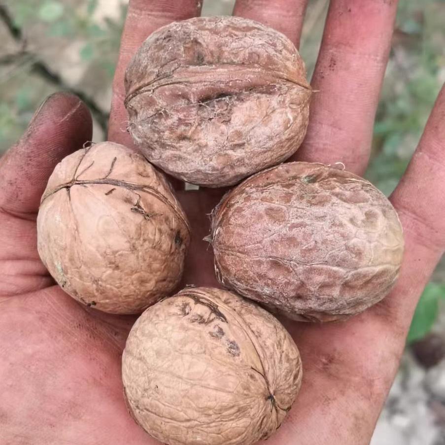 美克玛尼新疆特产店