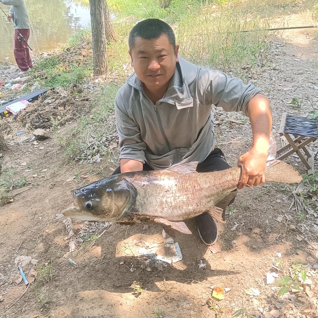 宋宜理（爱🎣）