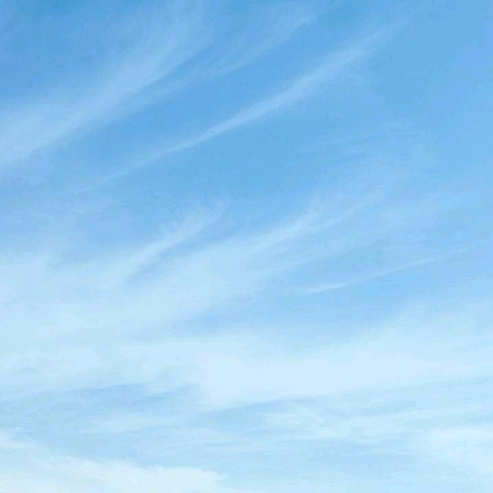风哥哥