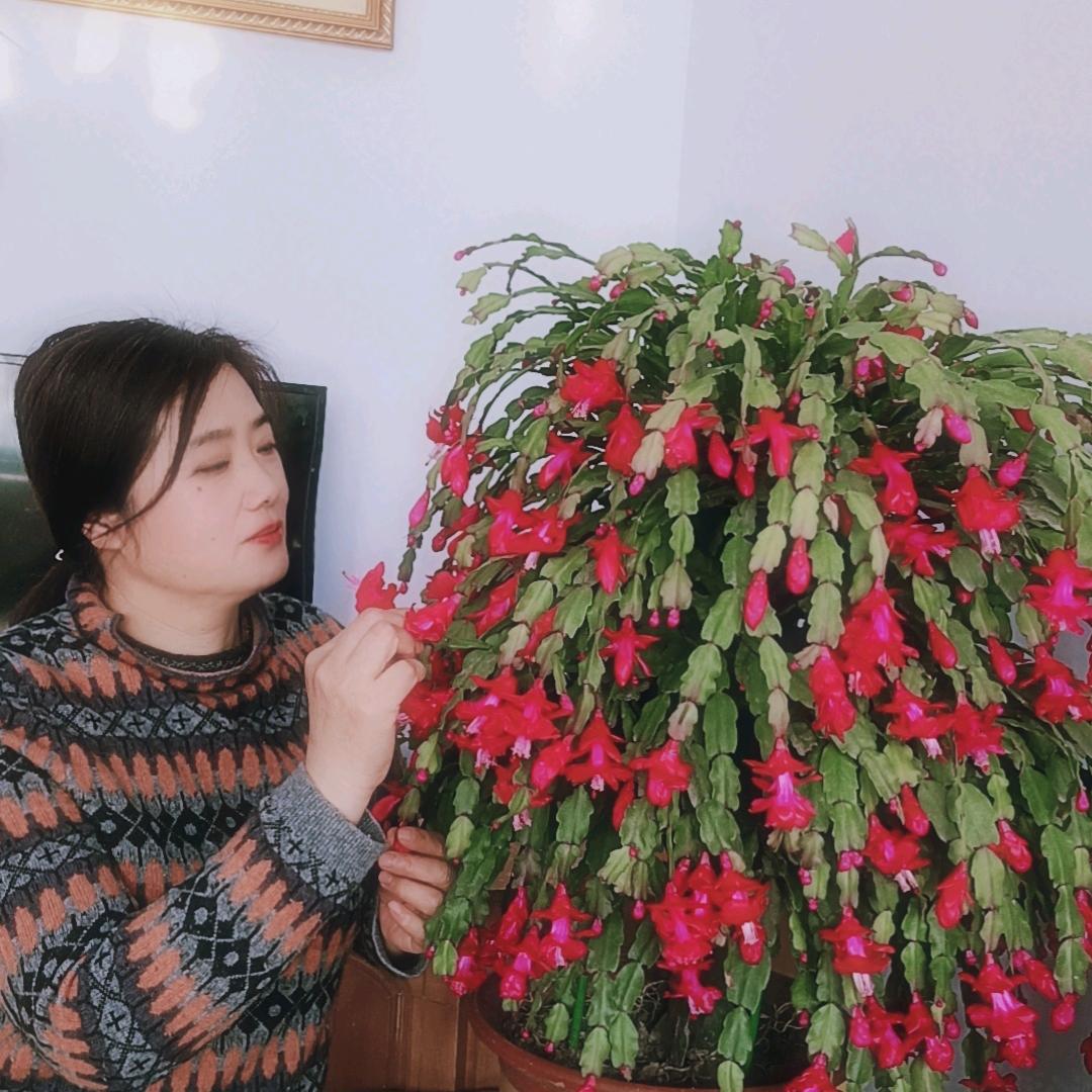 岁月如歌！