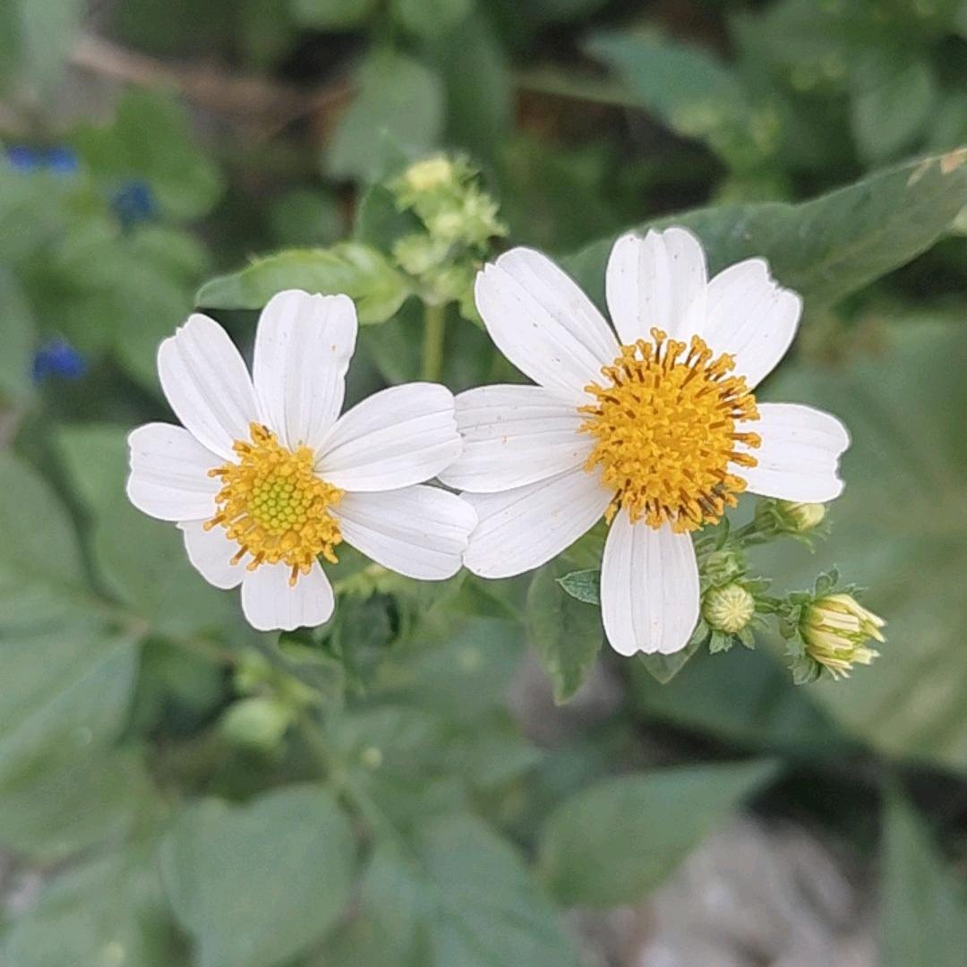 @☞小陈
