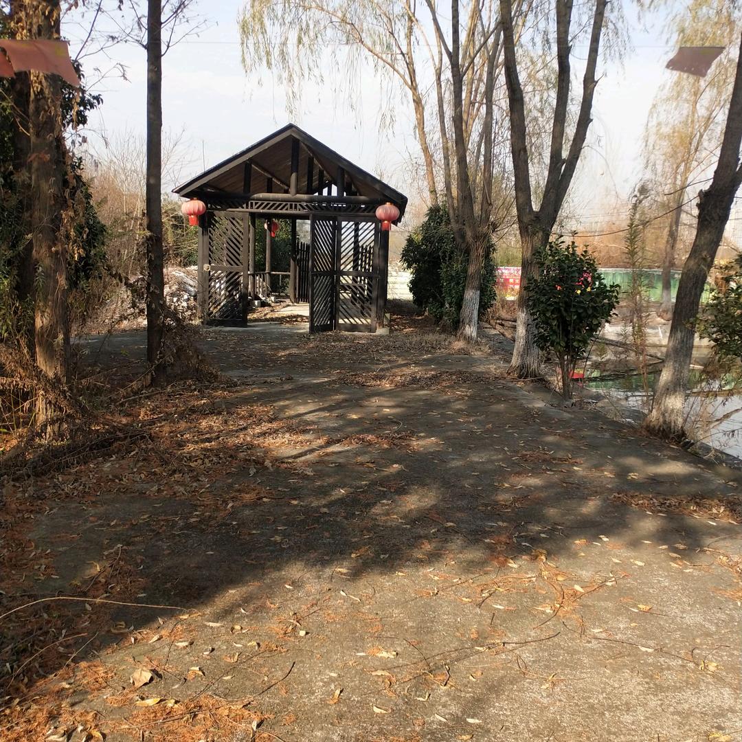 薛哥生态园钓场