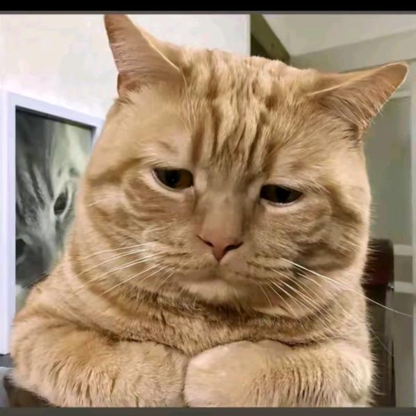 ⸝ဗီူ⸜⸝ဗီူ⸜⸝ဗီူ⸜⸝ဗီူ⸜