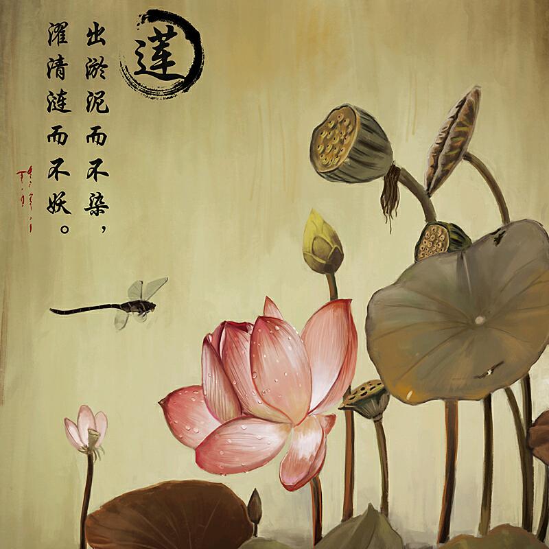 减肥中