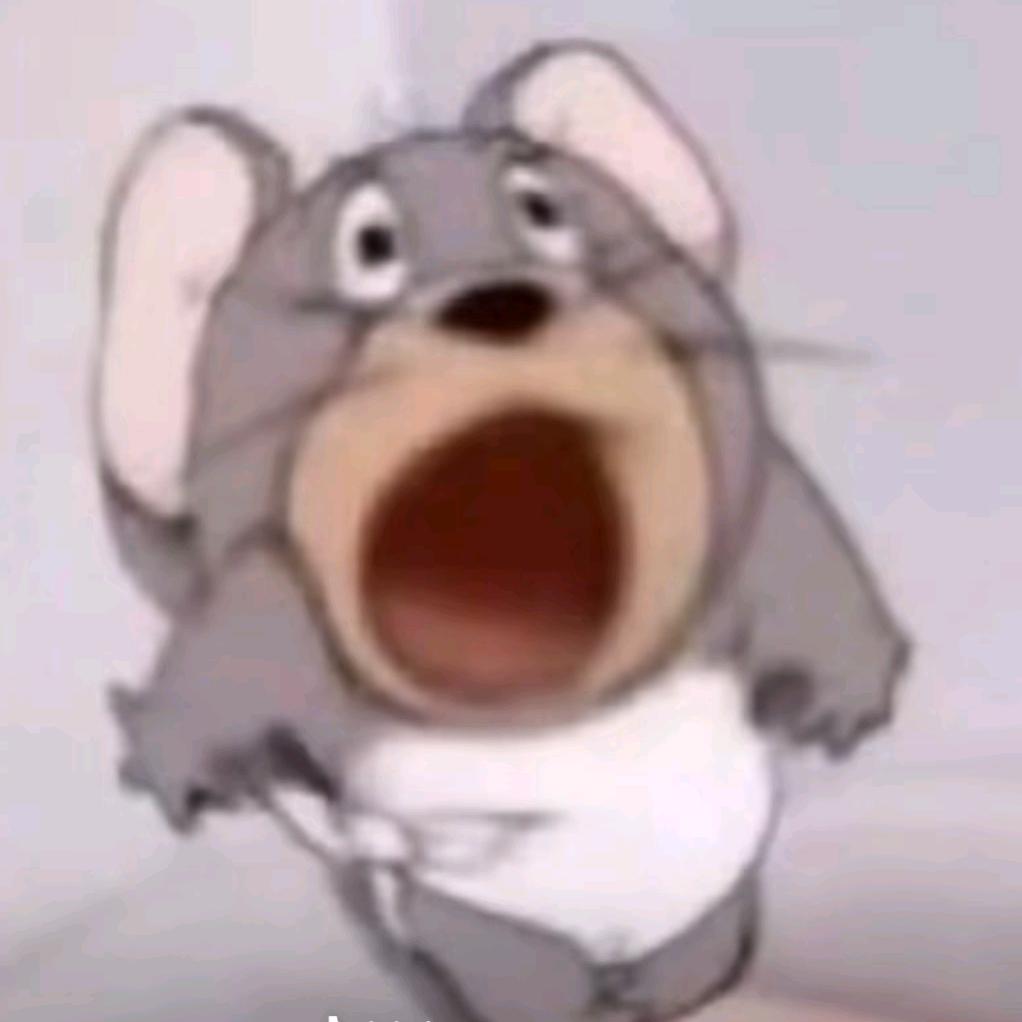 绫华的猫.头像