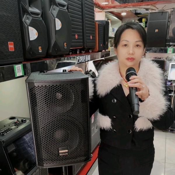 龙山万利达音响店