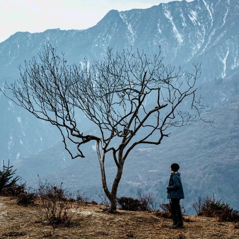 爱吃花椒的喵酱