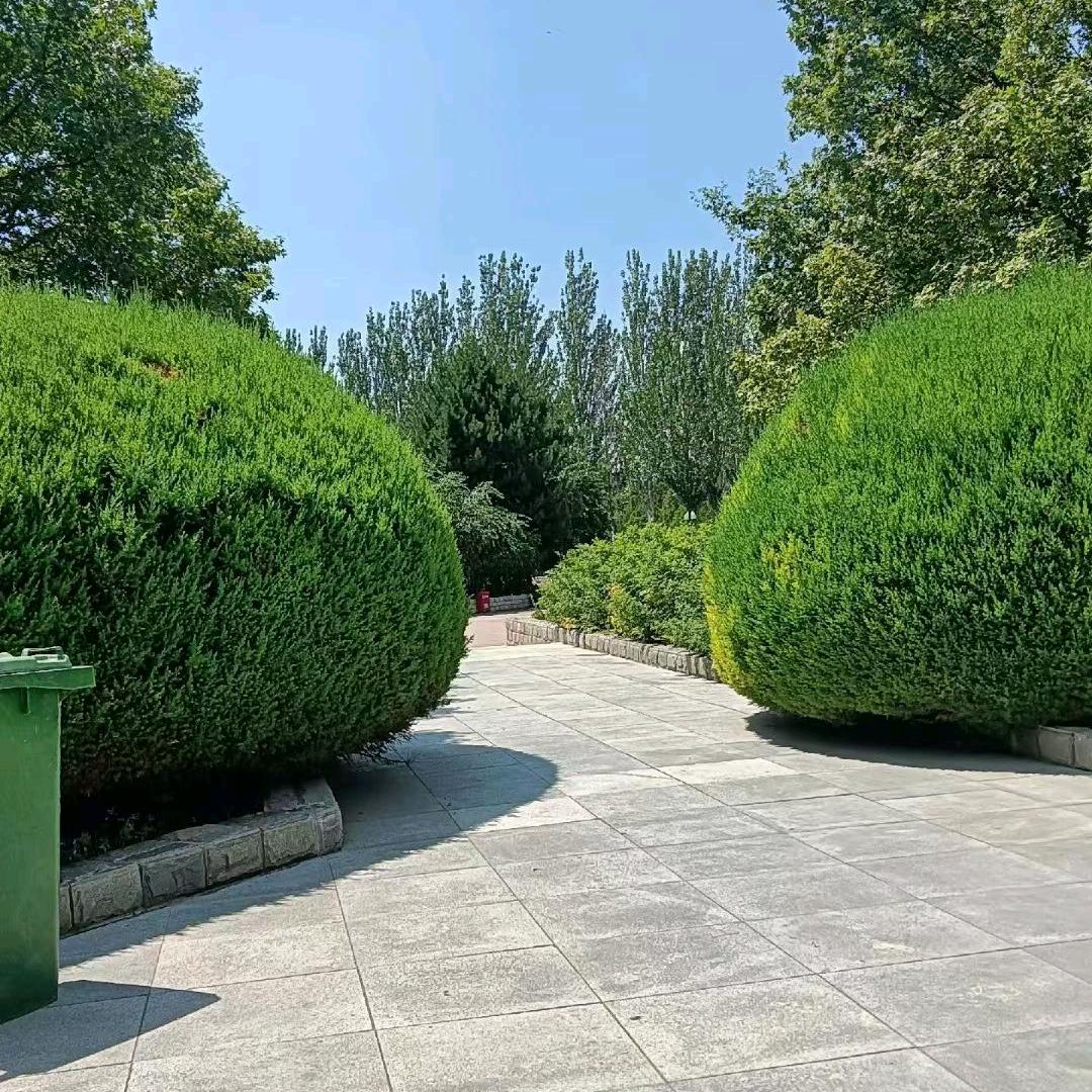 @小杨杨吖（小棋宝宝（穿搭爱好者）