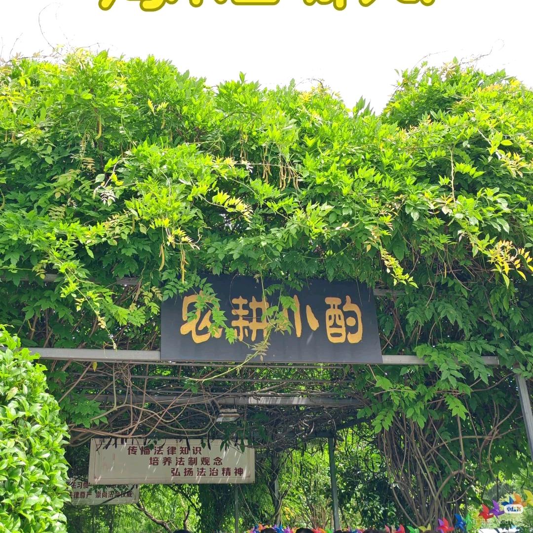 农耕公社露营地（🍑🌸岛主）