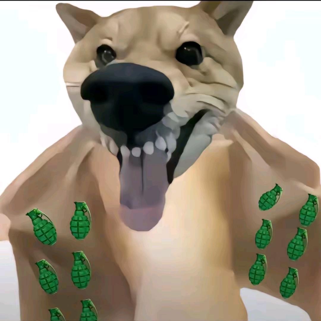 AAA高级老母鸡批发