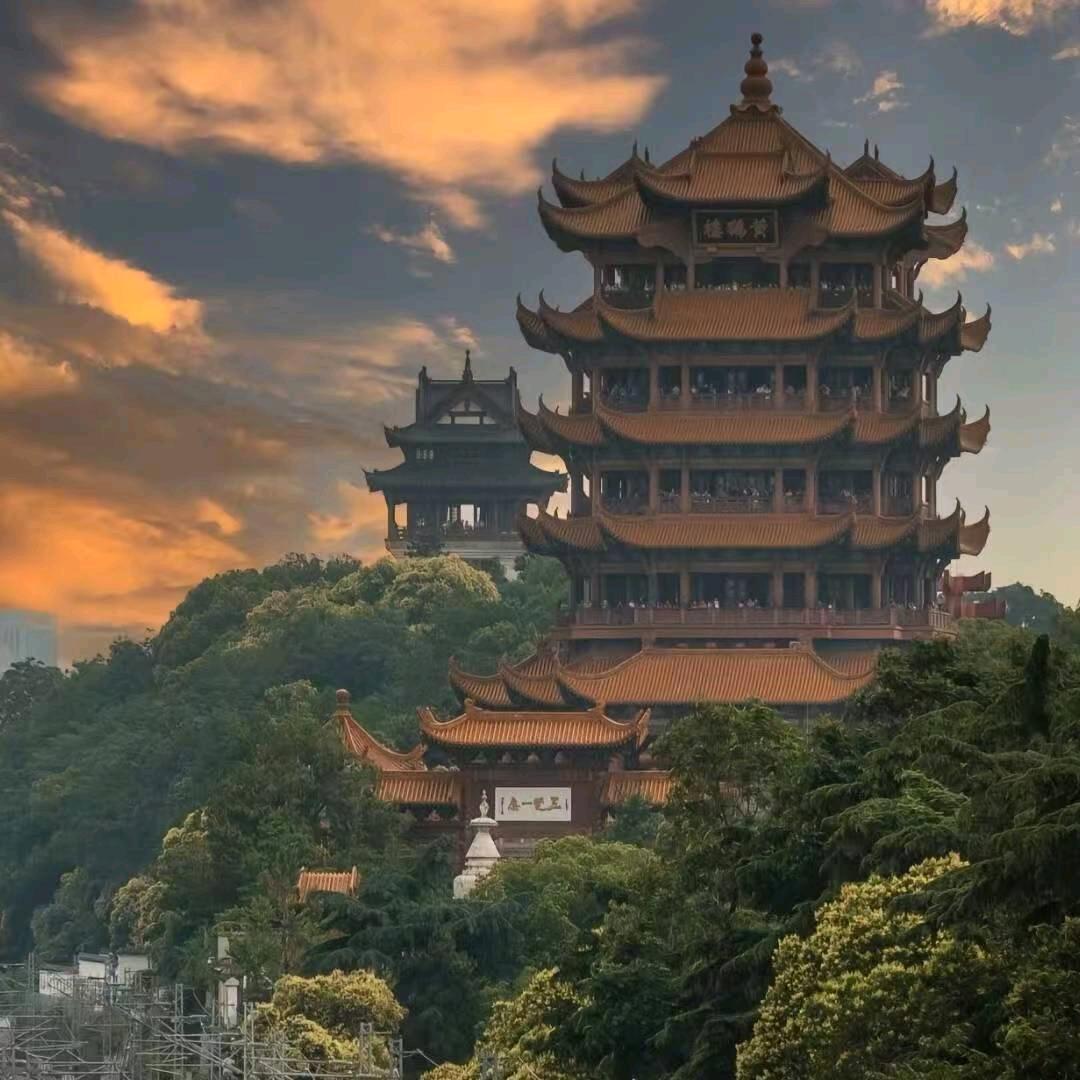 升学规划邵老师