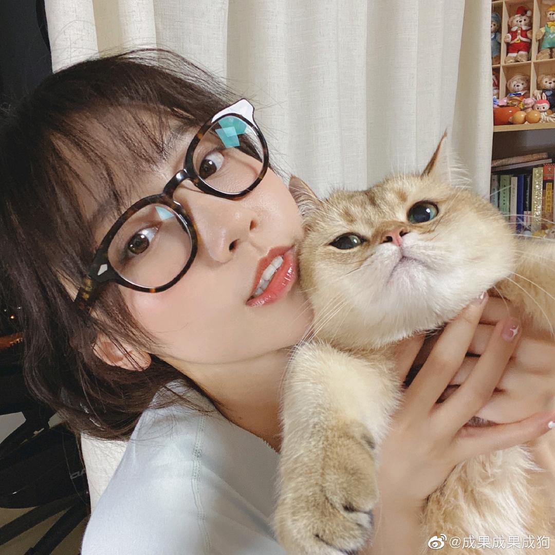 犬来不慌