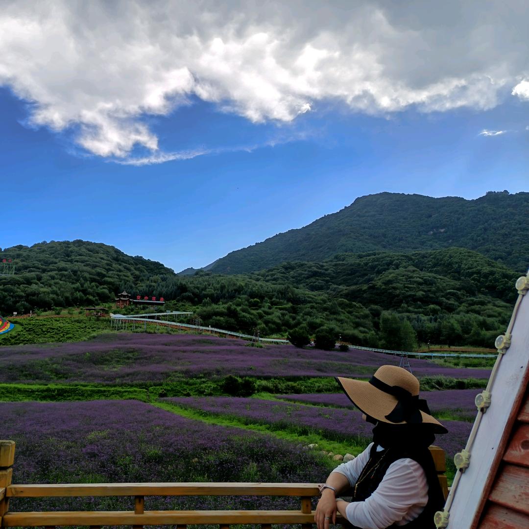 A  🌙㴓趝💫