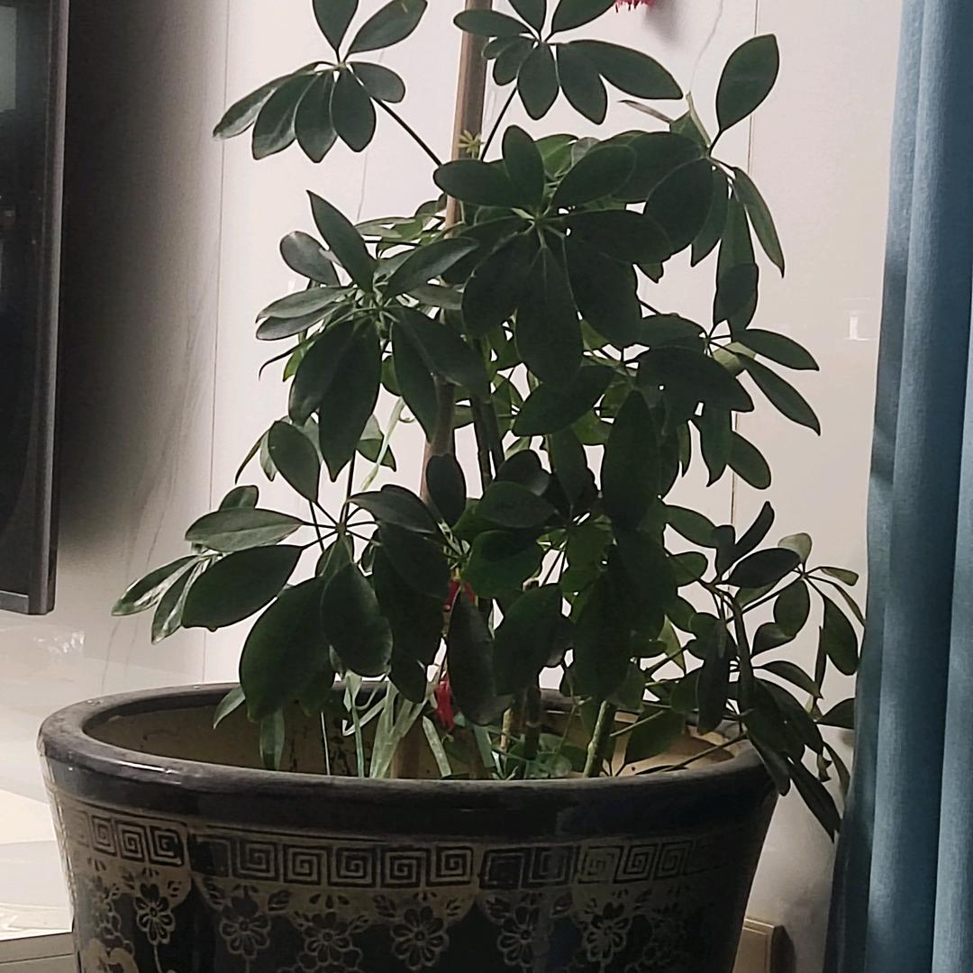 即无所谓就无所谓