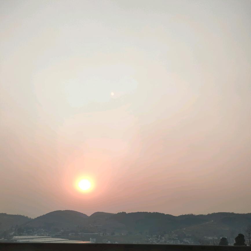 冬日暖杨