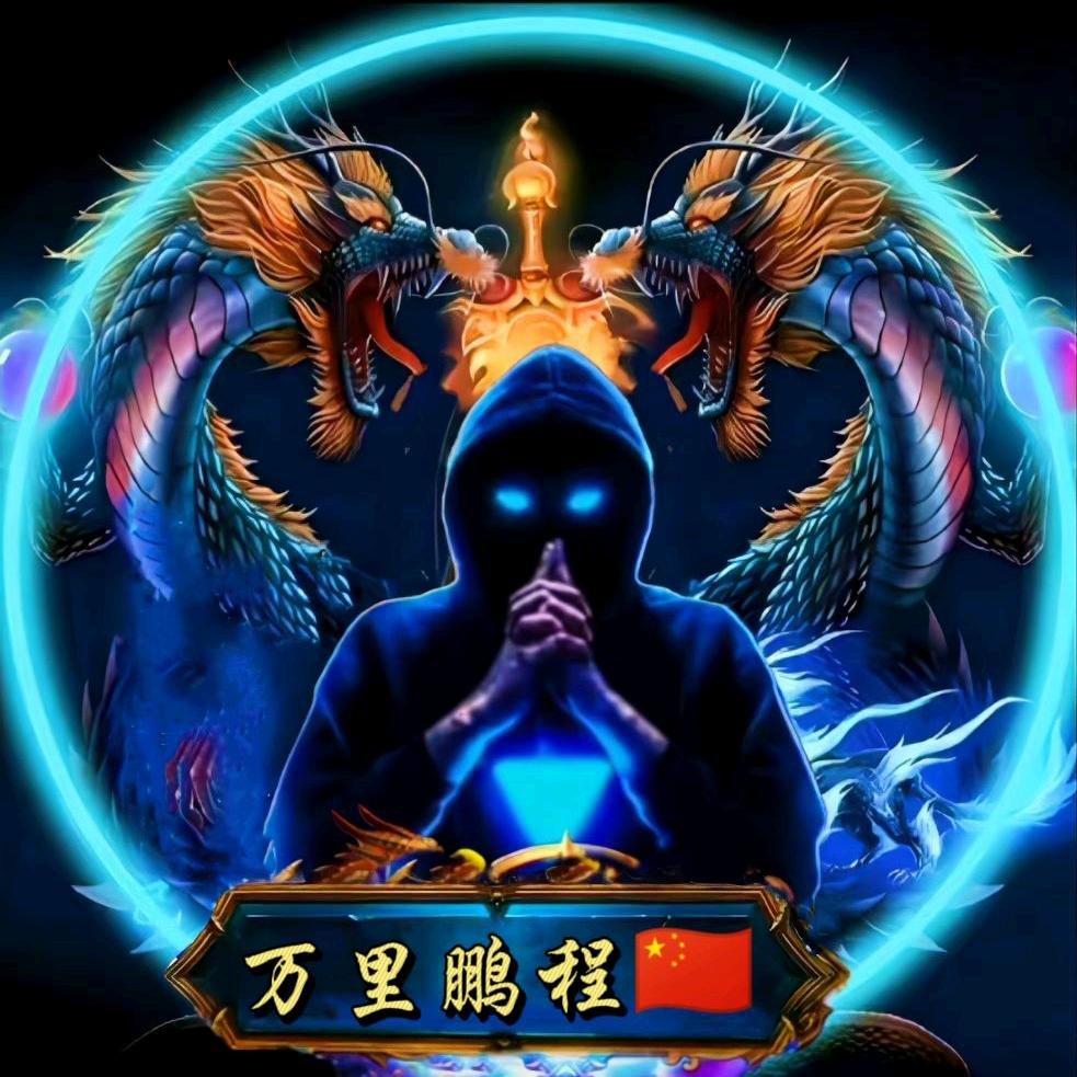 万里鹏程🇨🇳