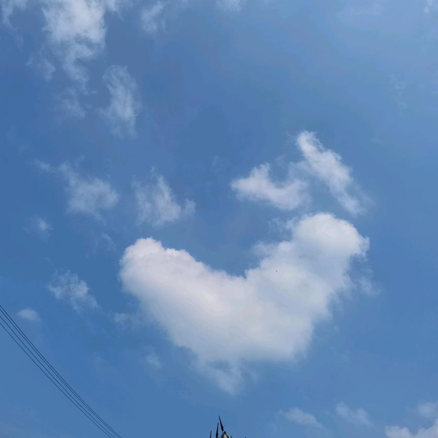 林州伟伟外墙装饰