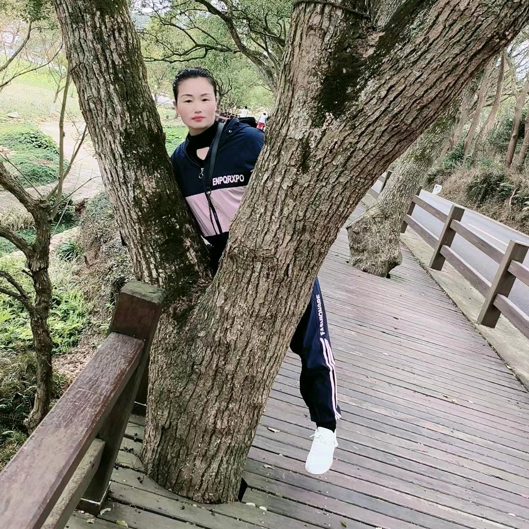 河南沈丘