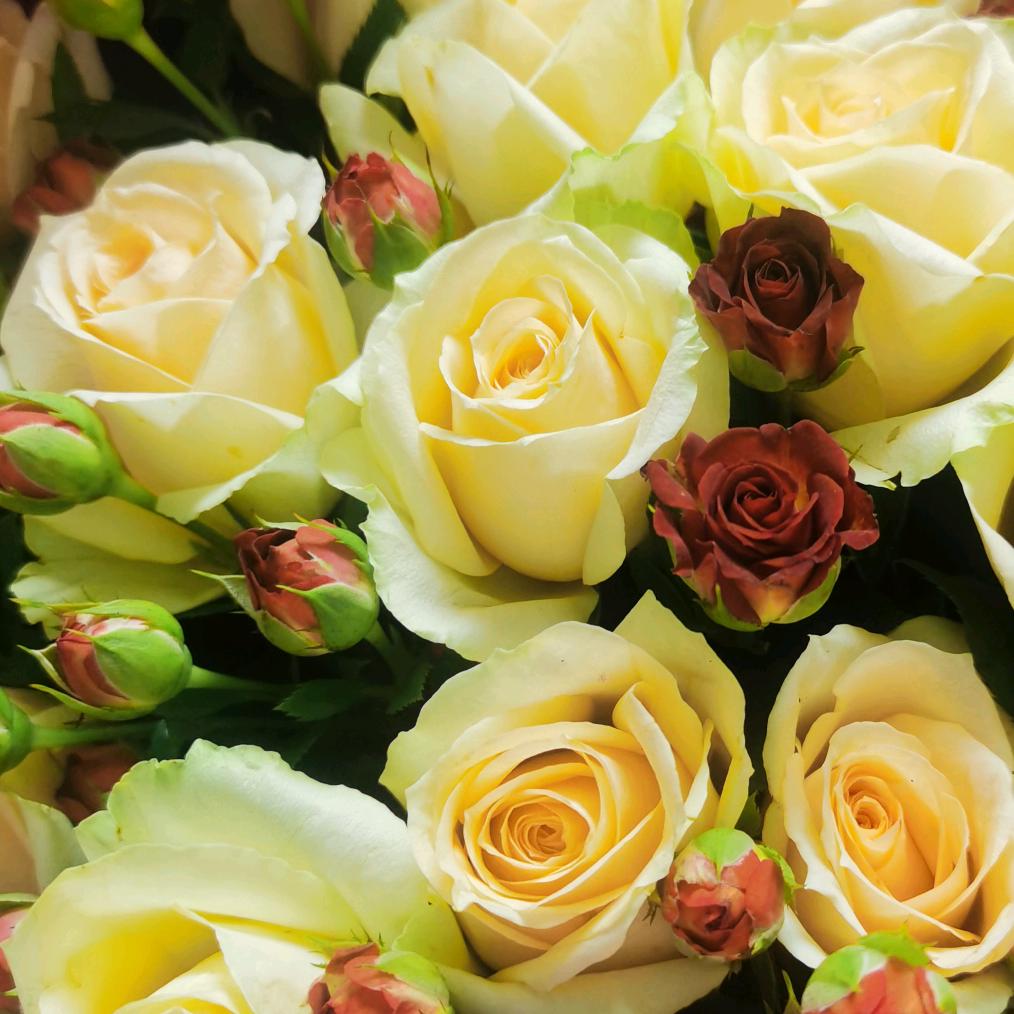 自立起来发大财