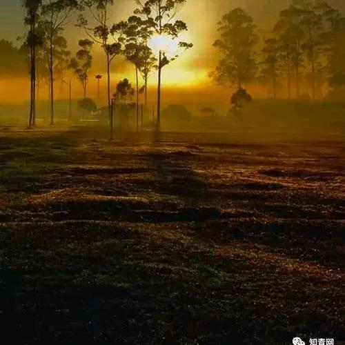 万法至简，大道自然