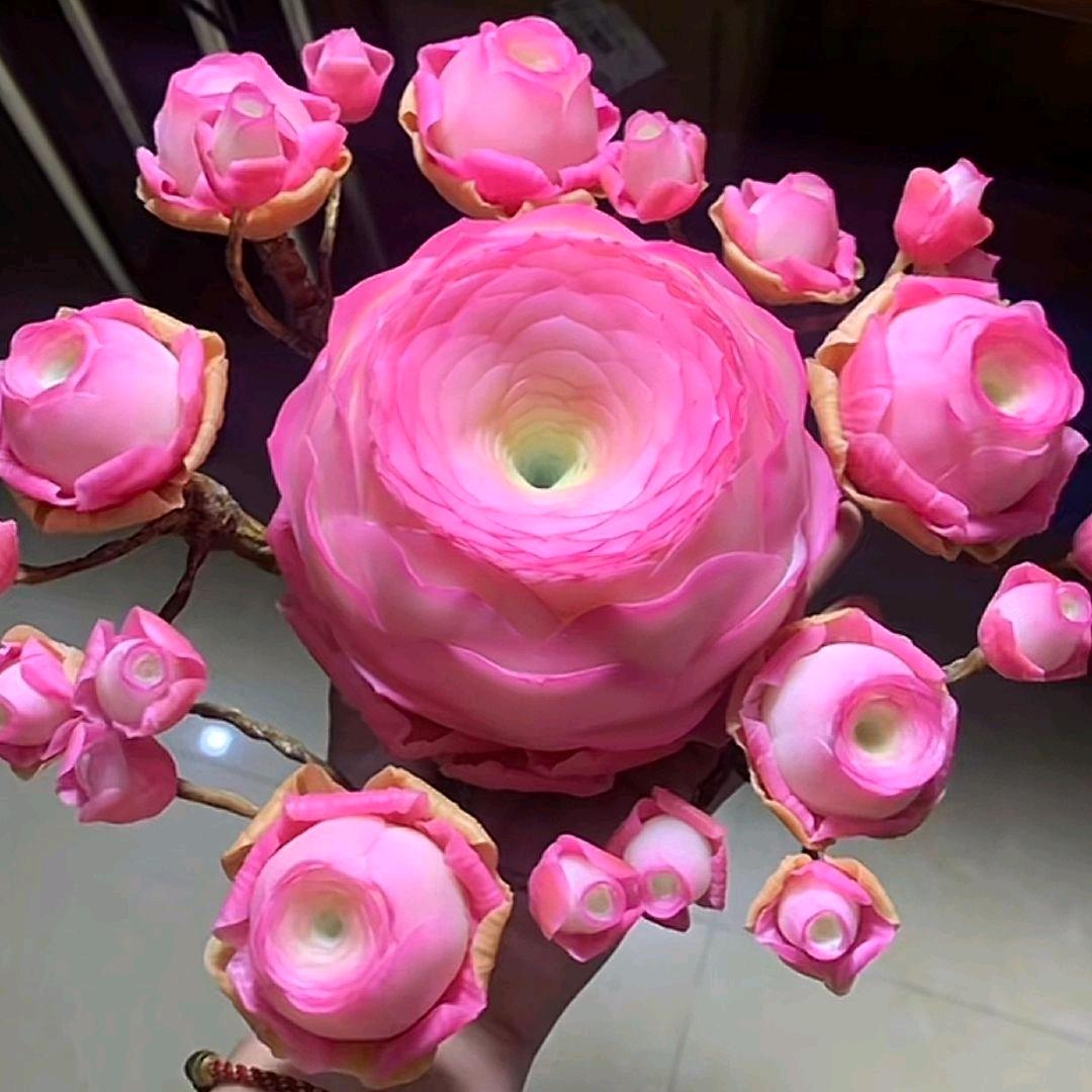 你身边的花花草草