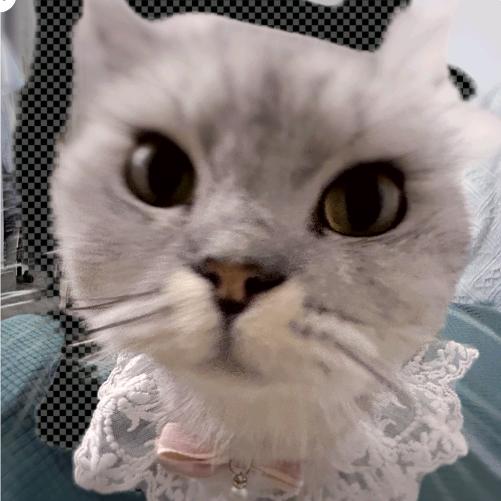 法王（无尽守御挑战）