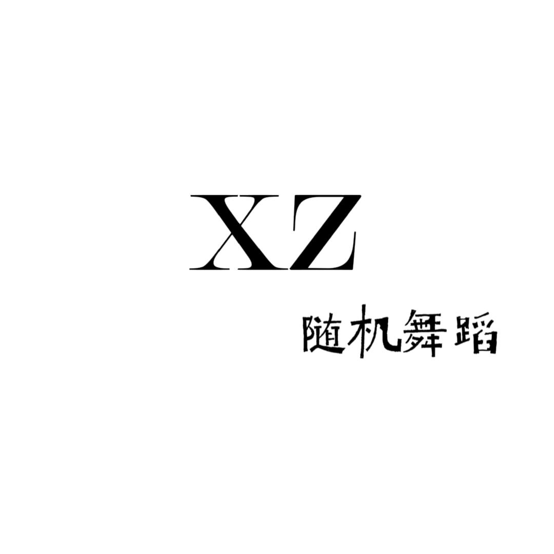 xz随机舞蹈