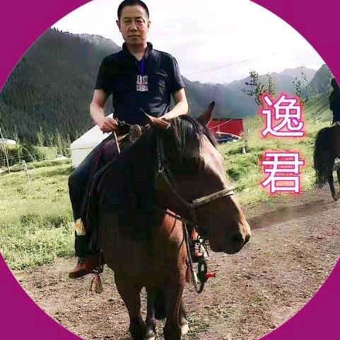 逸君臻选