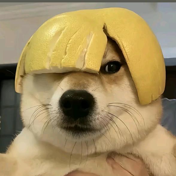 执着.
