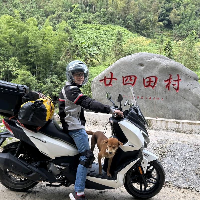 多宝的大金