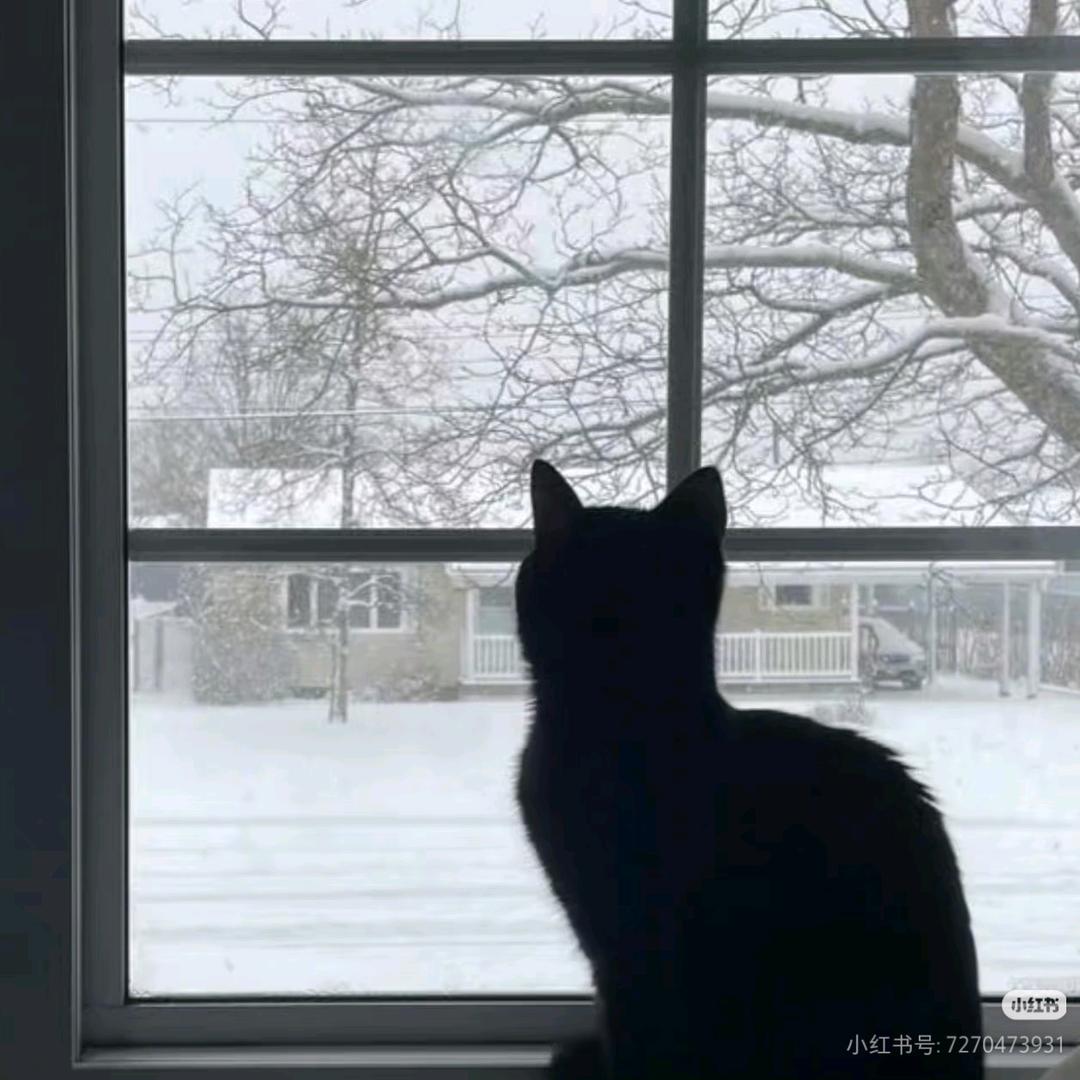 简亓.