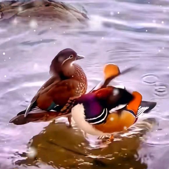 封心锁爱且行且珍惜