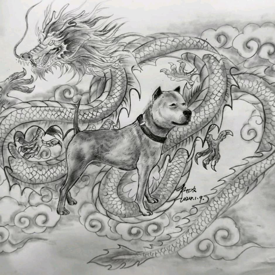 啊忠宠物犬舍〈买🐶后台斯我〉