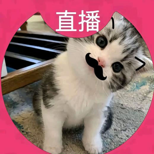 (˵^〰^˵)◞
