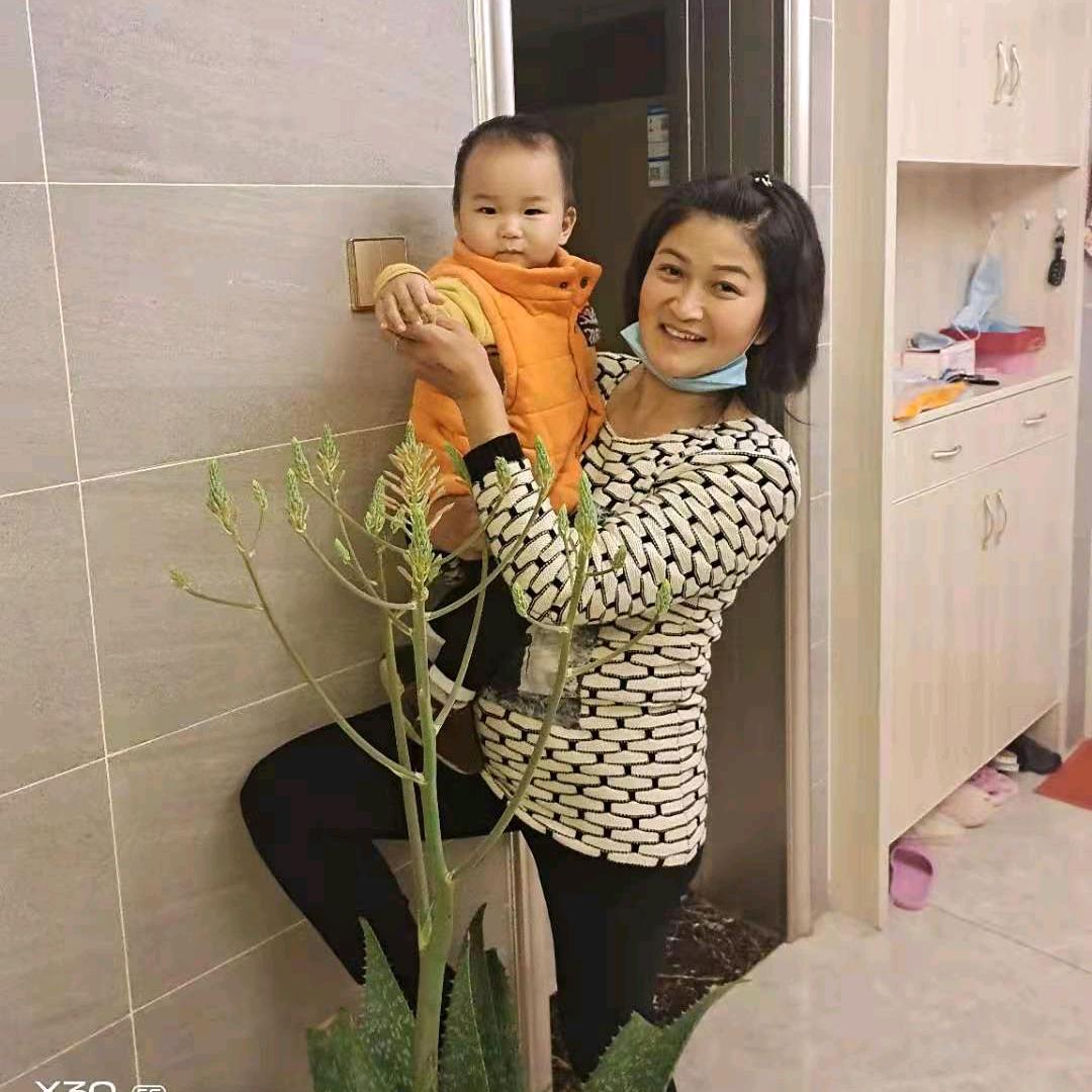 刘三姐乐队