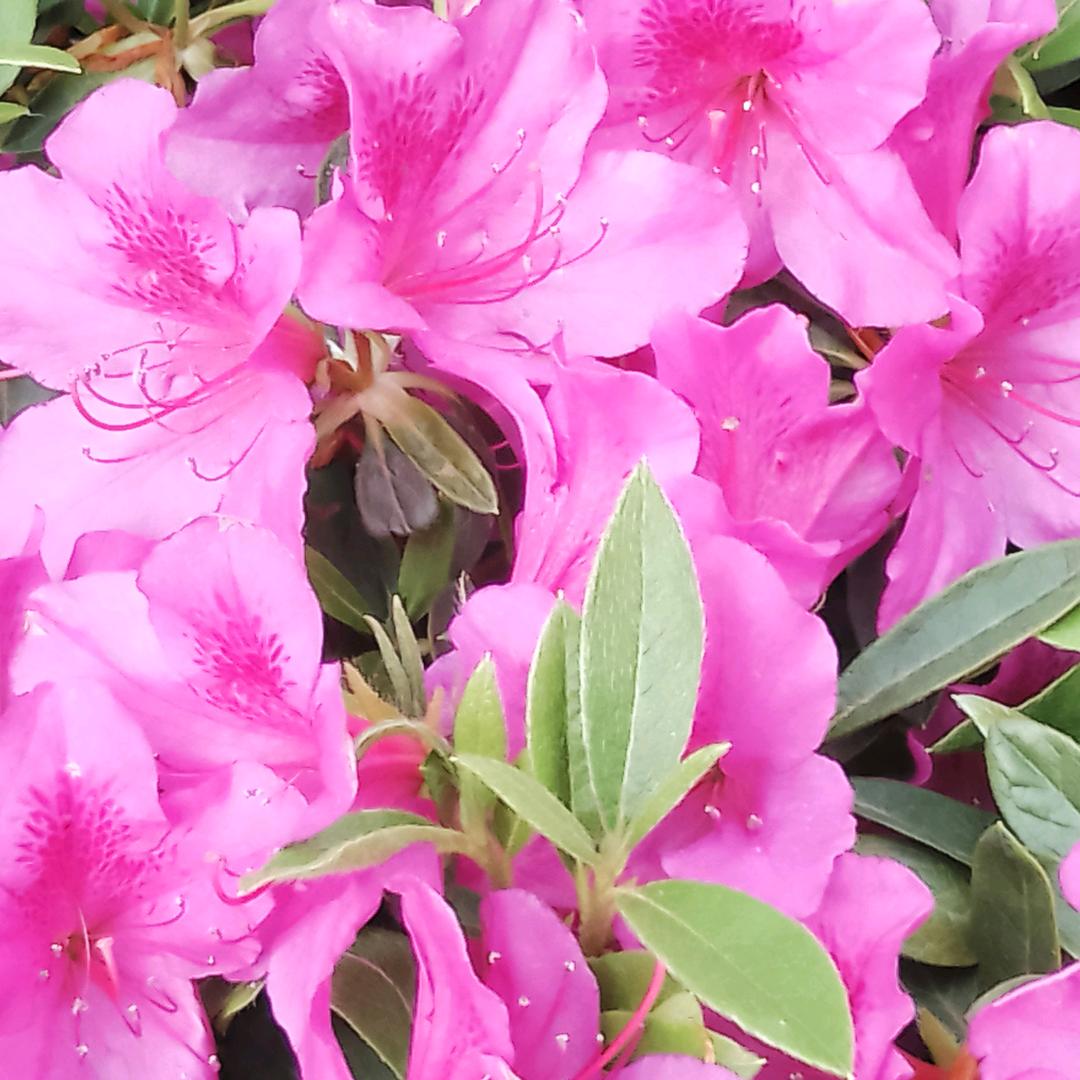 用户9870501478848任际翠