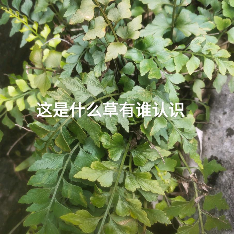精彩世界