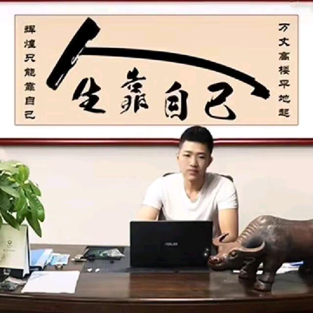 大力金刚掌，雄霸，整条街。
