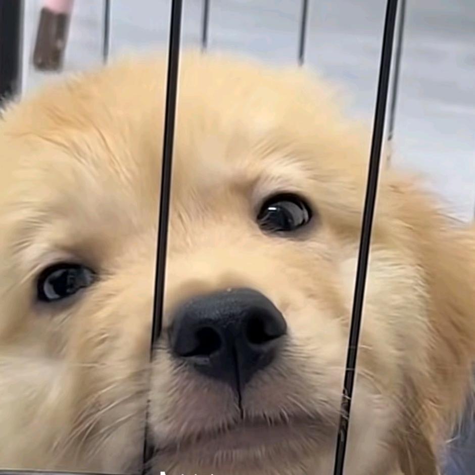 社会上的边角料