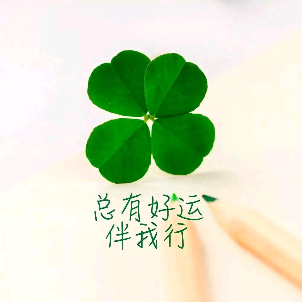 南国红豆