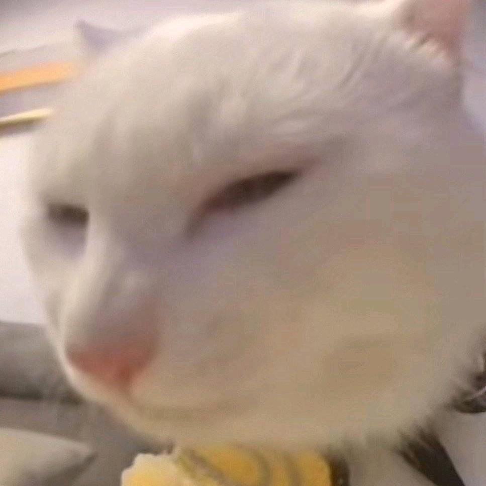 又困了的狮子cc