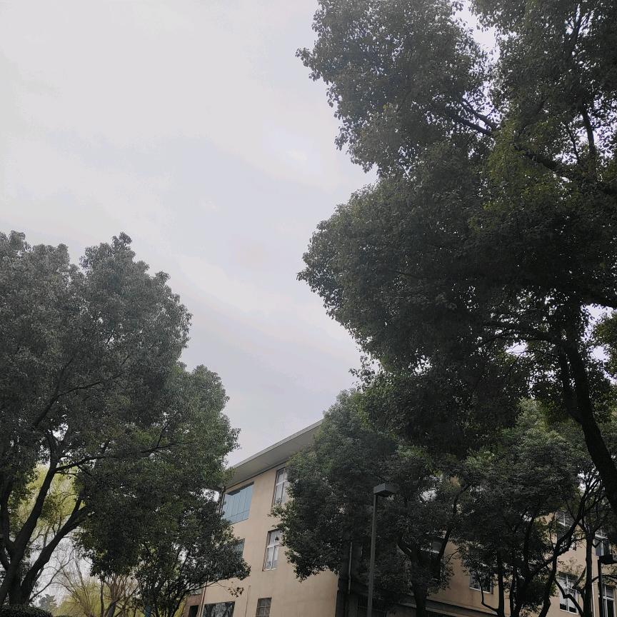 寂寞仍在阴雨天