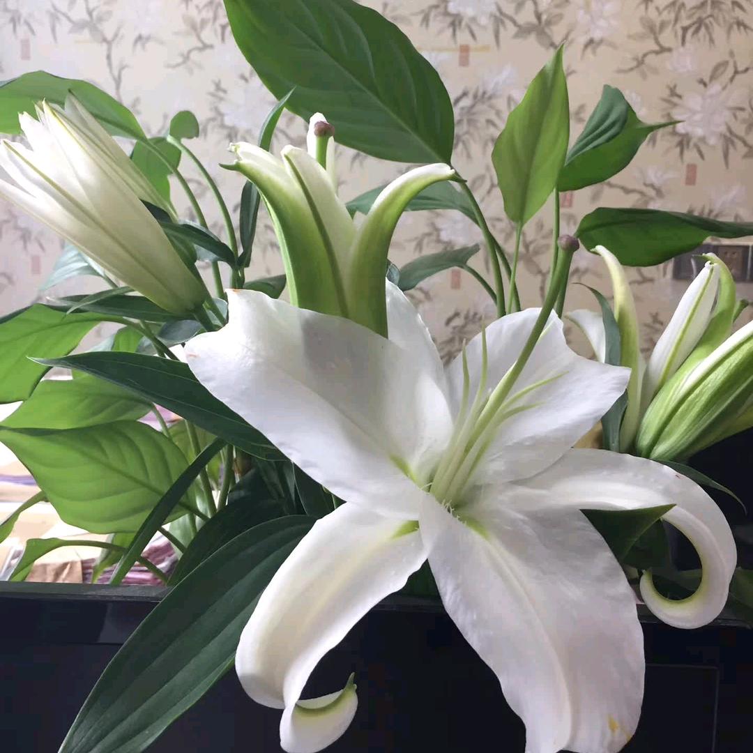 荣姐《简单是快乐》