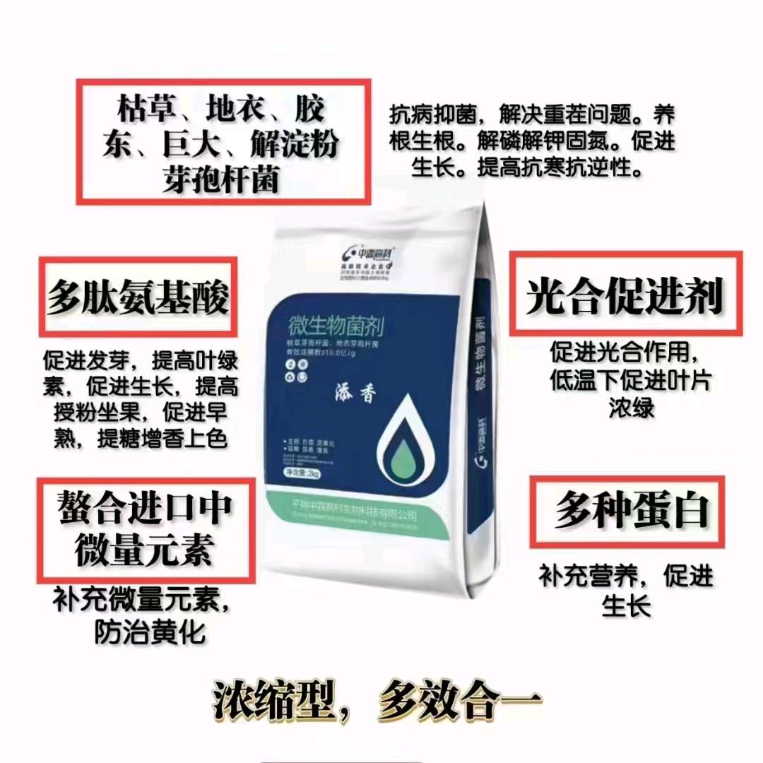 中霖启汇添香——果果🍇2+